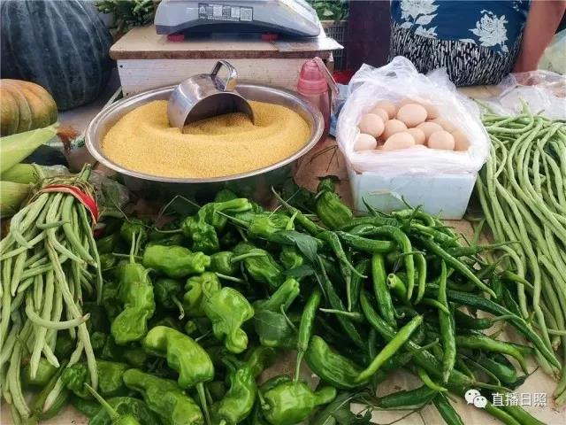 2019年12月日照海鲜价格表,日照海鲜今日价格