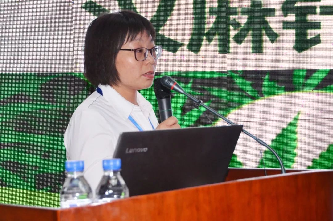 聚焦|“纺织之光”科技成果再进辽源，助力袜业升级