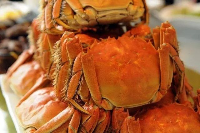 2020年阳澄湖大闸蟹开捕地点,阳澄湖大闸蟹官方开捕时间