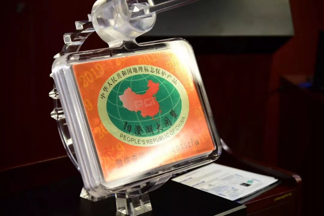 2020年阳澄湖大闸蟹开捕地点,阳澄湖大闸蟹官方开捕时间