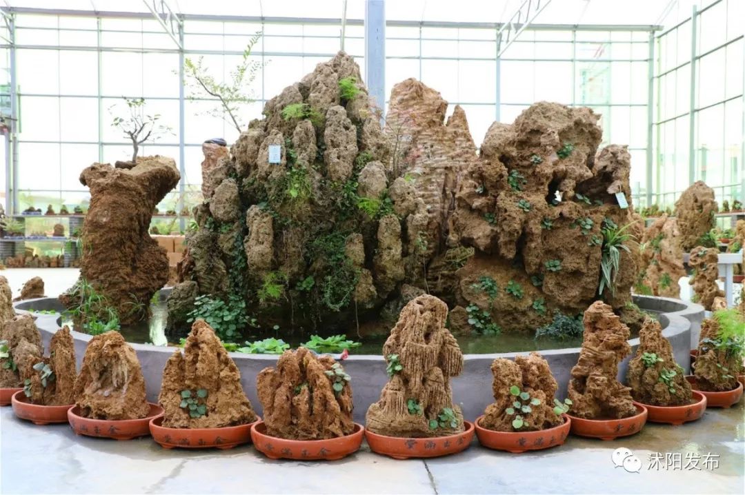 娌槼鏃呮父璺嚎鎺ㄨ崘,姹熻嫃娌槼鏃呮父鏀荤暐璺嚎