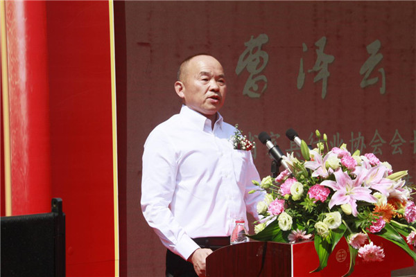 红木奇石展览会,中国红木家具博览会门票