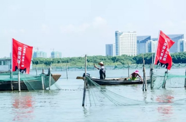阳澄湖大闸蟹开捕价格,真正阳澄湖大闸蟹有多少产量