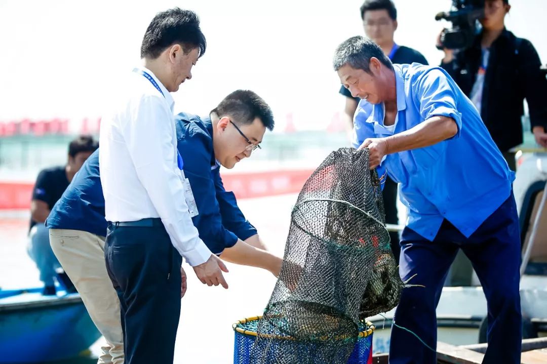 2020年阳澄湖大闸蟹开捕地点,阳澄湖大闸蟹官方开捕时间