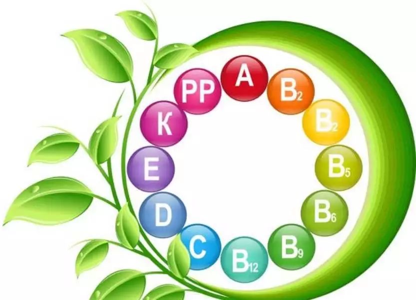 补维生素吃水果好还是维生素片好,孩子不吃水果蔬菜要补充维生素吗