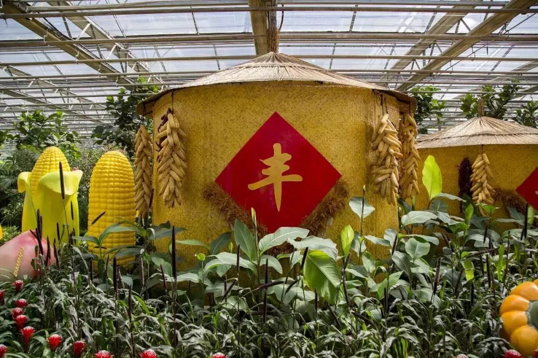 秋分节气是中国的农民丰收节,中国农民丰收节秋分2022年