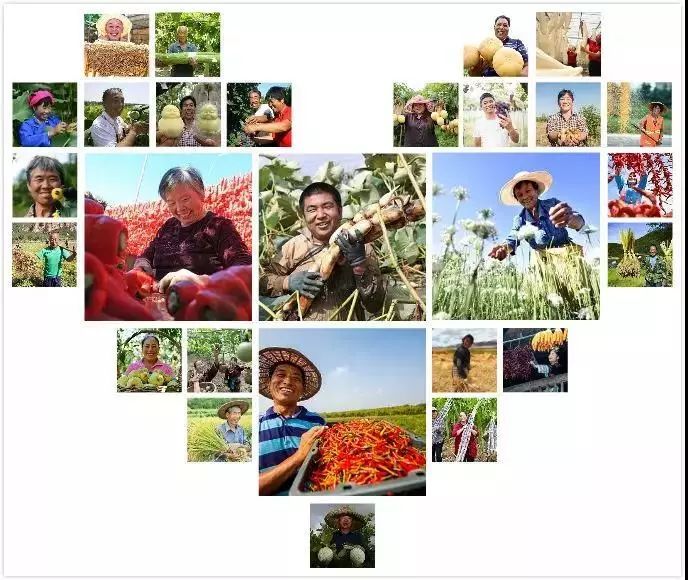 秋分节气是中国的农民丰收节,中国农民丰收节秋分2022年