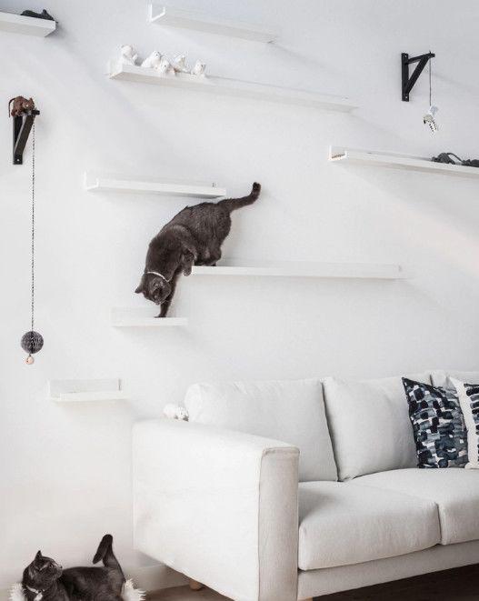 宜家免费住宿推荐,宜家免费开宾馆