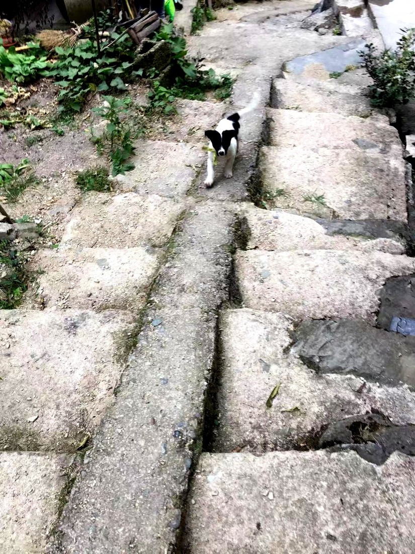 徽杭古道两天一晚来回徒步攻略,一日徽杭古道徒步攻略