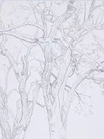 写生作品美术生,美术生写生水粉画技巧