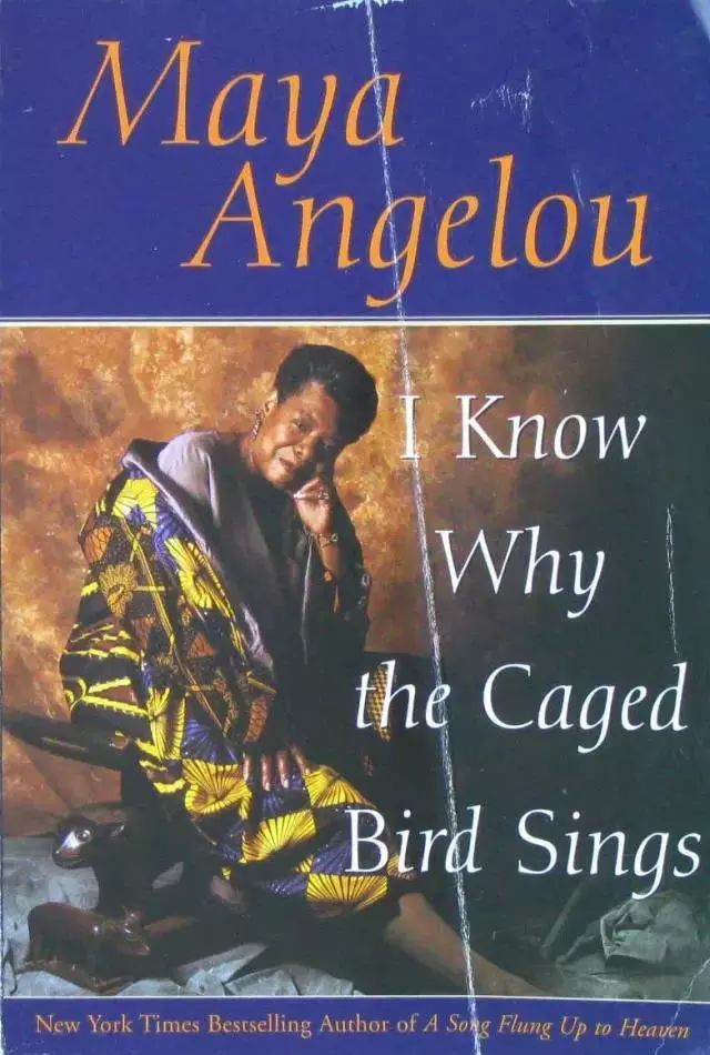 0-12岁英文原版书阅读力进阶指南,适合成人看的原版英文读物