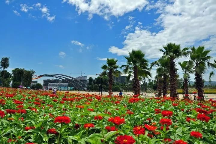 头条|世界这么大，我怕你会迷路，这份国庆节出行柳州攻略请收好