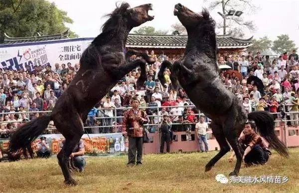 头条|世界这么大，我怕你会迷路，这份国庆节出行柳州攻略请收好