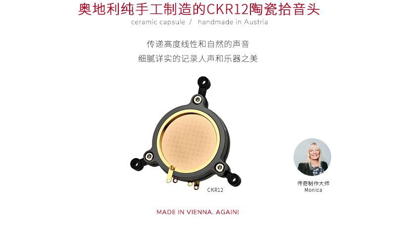 高端电容麦大振膜麦克风,大振膜无线电容麦克风