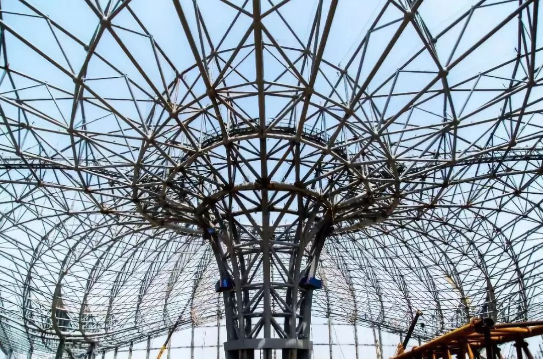 太赞了！机场也可以这么美