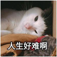 致富骗局揭秘完整版,发家致富的骗局揭秘