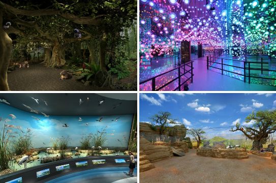 南通森林野生动物园中国大马戏,南通野生动物园国际大马戏座位数