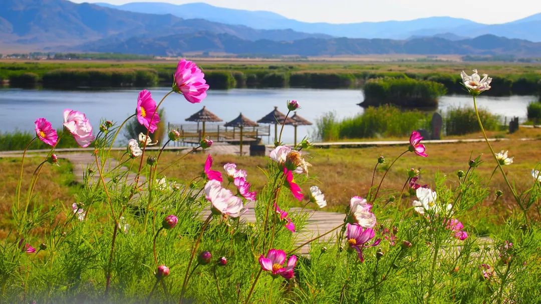 选好出行路线,选日期出行