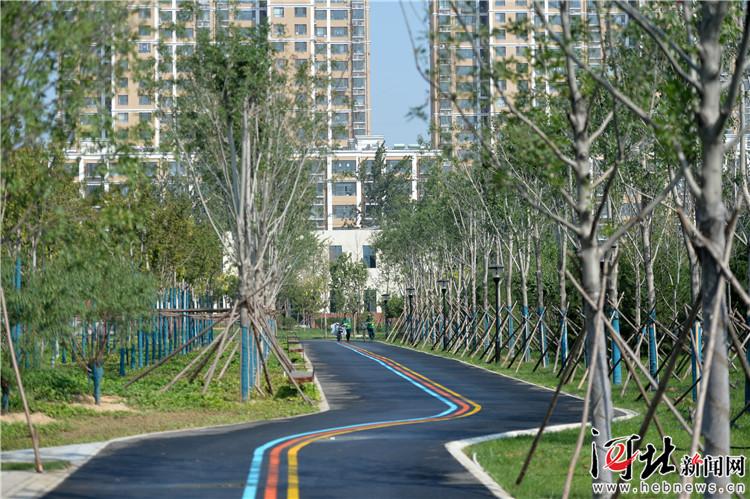 石家庄西兆通公园国庆节开园,三只蝴蝶飞舞