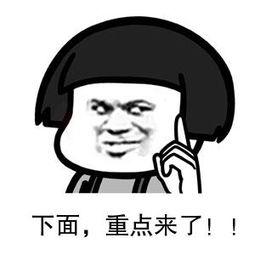 海南国际旅游岛欢乐节新闻发布会,海南国际旅游岛欢乐节开幕式直播