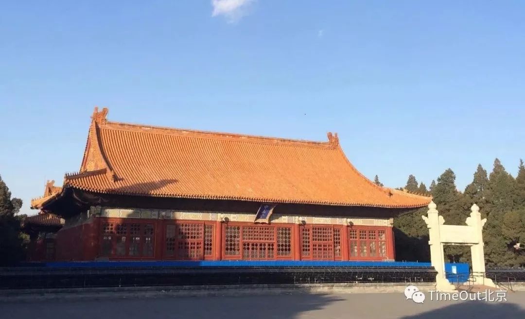 十一生活指南|在公园XX才是正经事