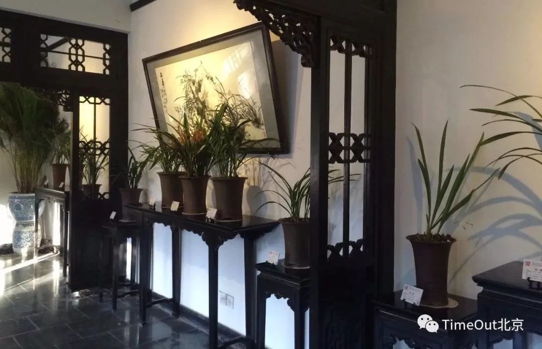 十一生活指南|在公园XX才是正经事