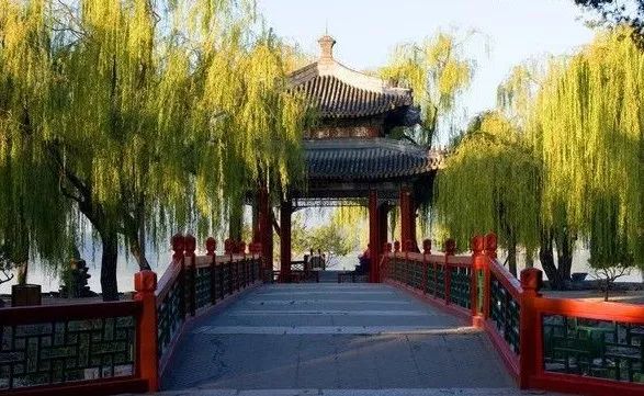 十一生活指南|在公园XX才是正经事