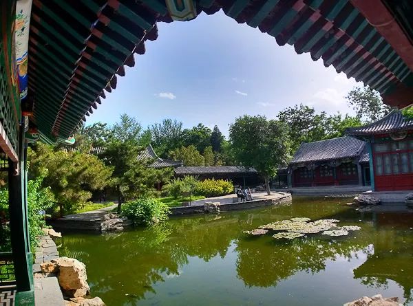 十一生活指南|在公园XX才是正经事