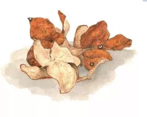 德叔医古|年老咳喘烦恼多，正气不足病来扰