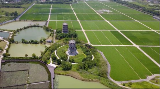 “我为家乡代言”玉林市电商大集各项工作已准备就绪，就等你来逛大集