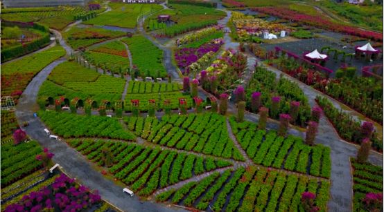 “我为家乡代言”玉林市电商大集各项工作已准备就绪，就等你来逛大集