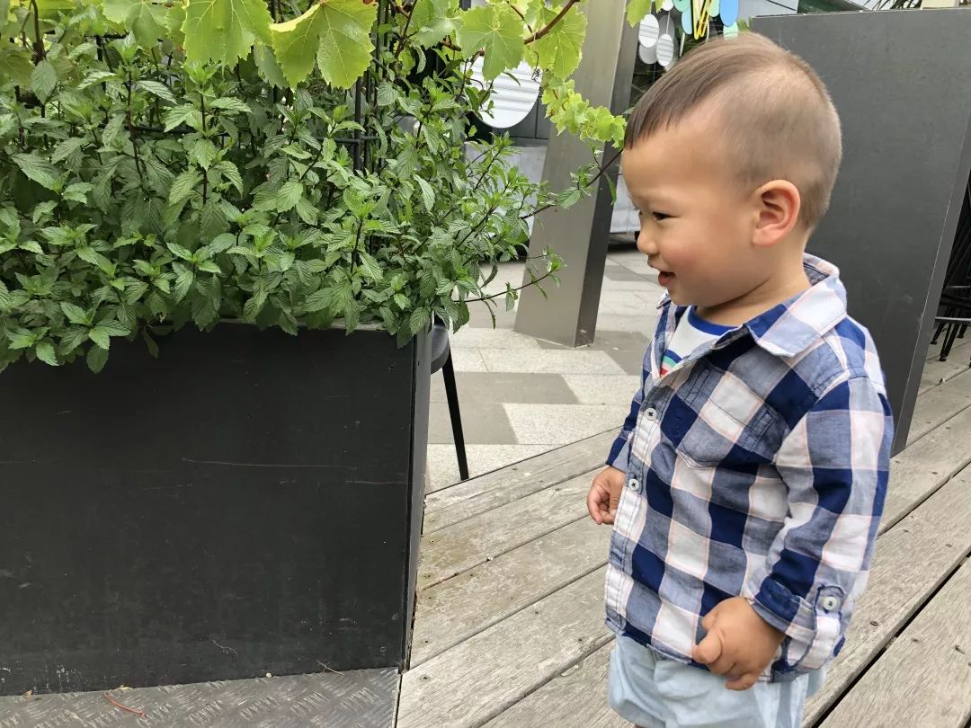 小男孩的发型选择,小男孩的发型参考实操攻略