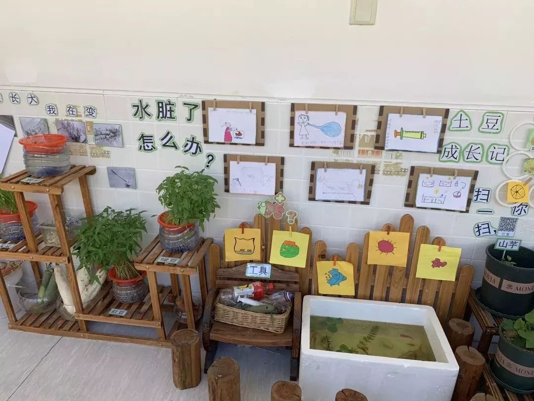 学校热点1|金阳幼儿园：走廊里的“绿”Party