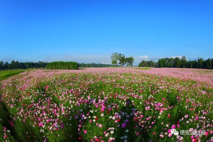 国庆节云南德宏,德宏国庆节放假时间安排2020