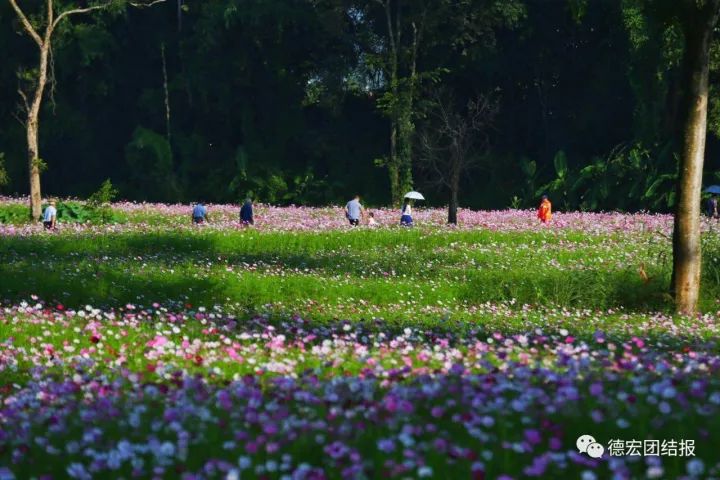 国庆节云南德宏,德宏国庆节放假时间安排2020