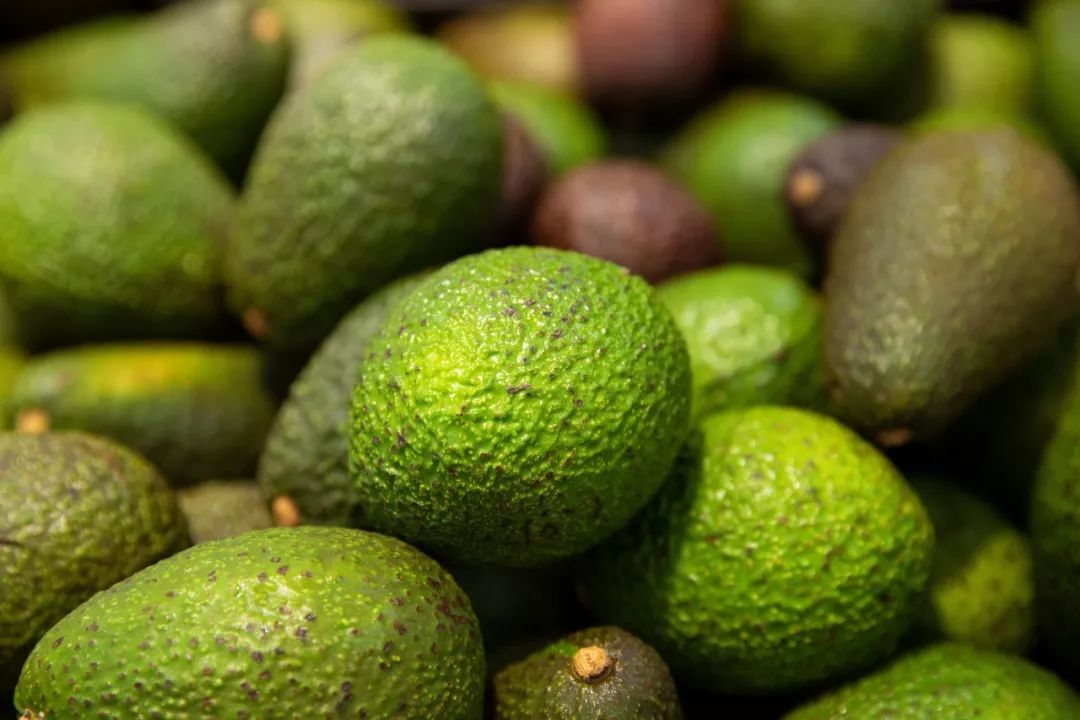 牛油果真的是骗局吗,牛油果到底是不是骗局