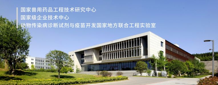 普莱柯生物张许科,创新创业与家国情怀