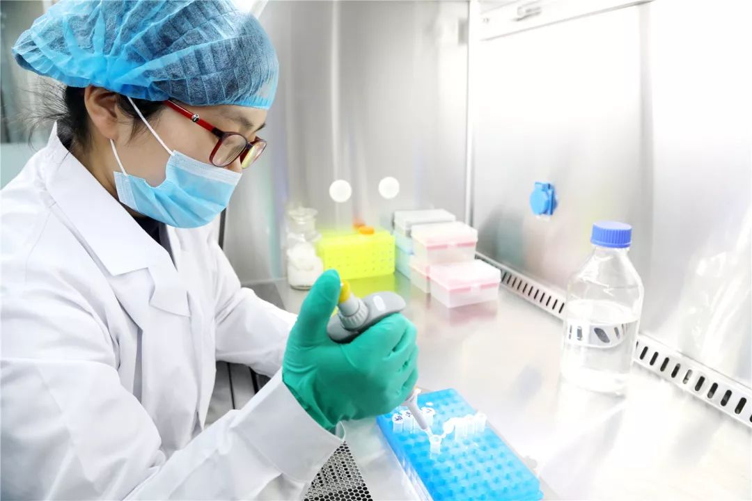 普莱柯生物张许科,创新创业与家国情怀