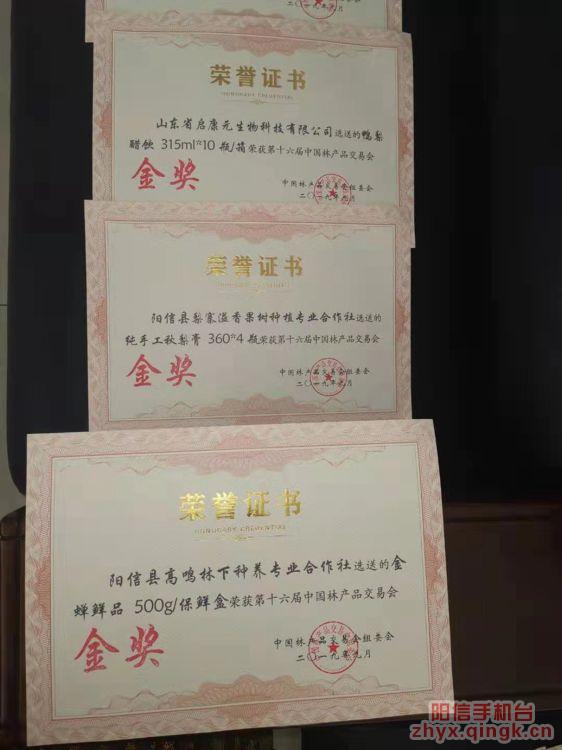 国庆节节喜事多,国庆节佳节来临喜事连连