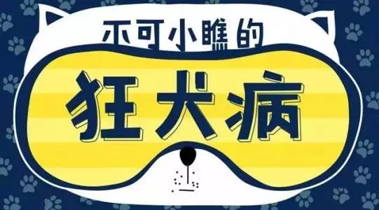 被狗咬了千万可别咬回去,被狗咬的很严重该怎么办
