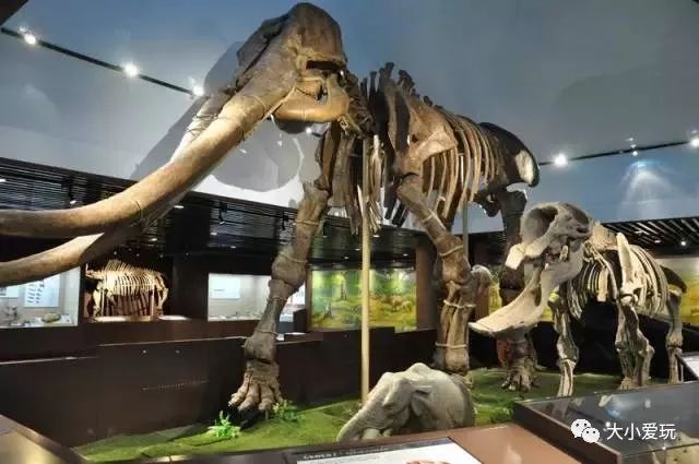 北京必去12个地方旅游攻略,北京小众省时游玩攻略