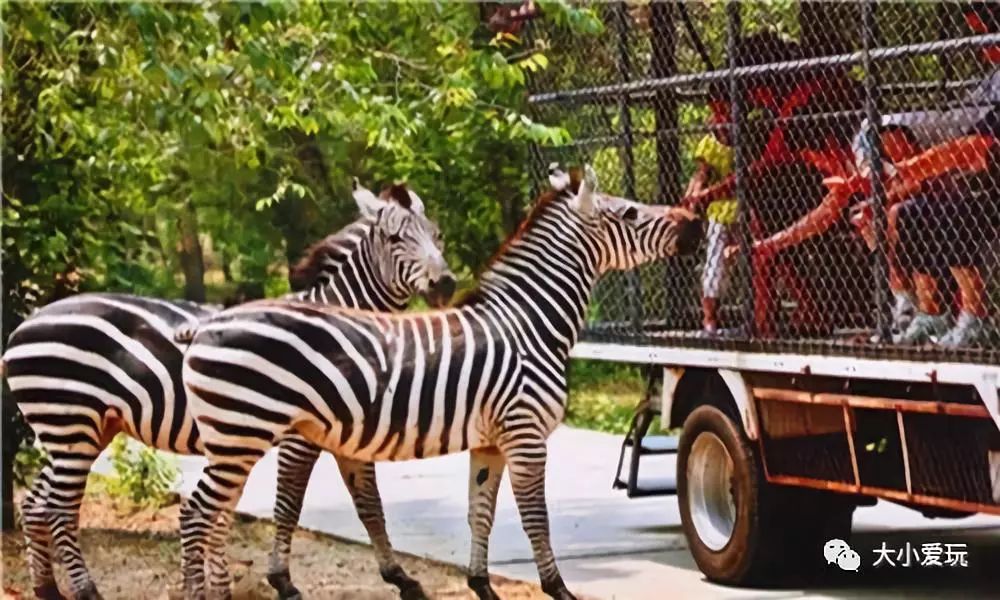 北京必去12个地方旅游攻略,北京小众省时游玩攻略