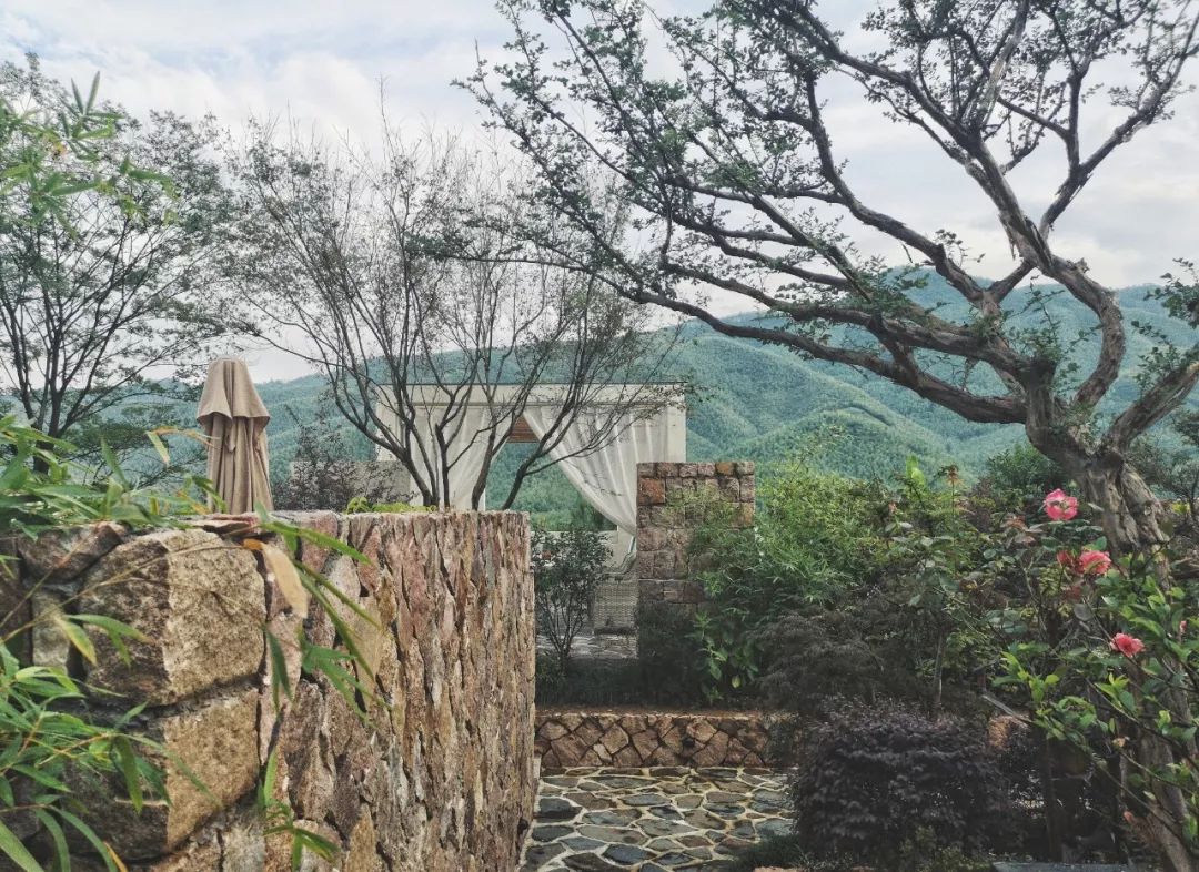 莫干山评价最高民宿,莫干山八家高颜值民宿推荐