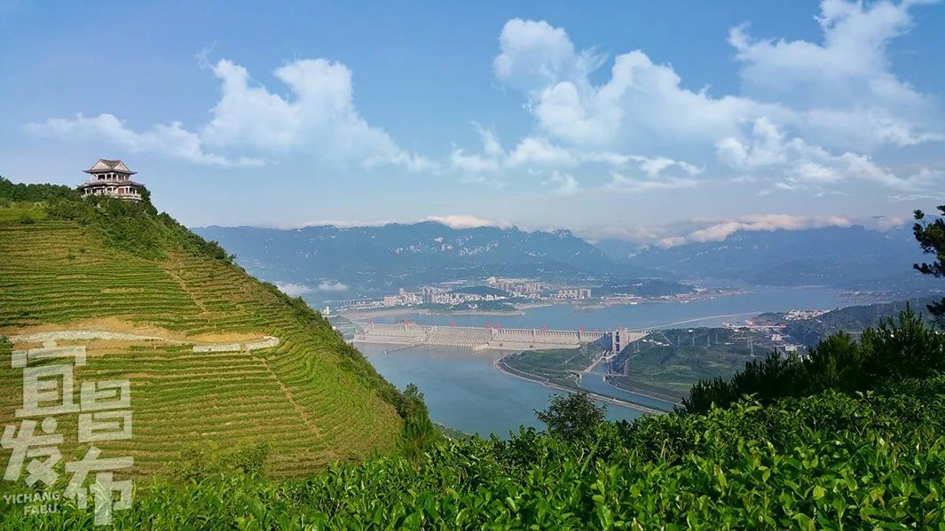 盛夏！好多宜昌人都在拍她