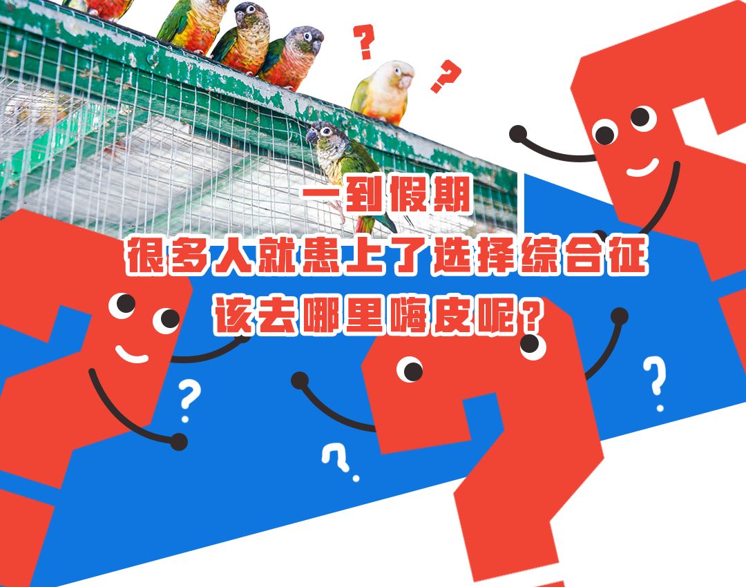 柏乐园附近美食,柏乐园有没有美食