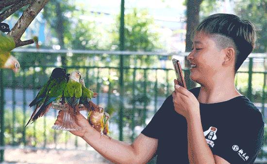 柏乐园附近美食,柏乐园有没有美食