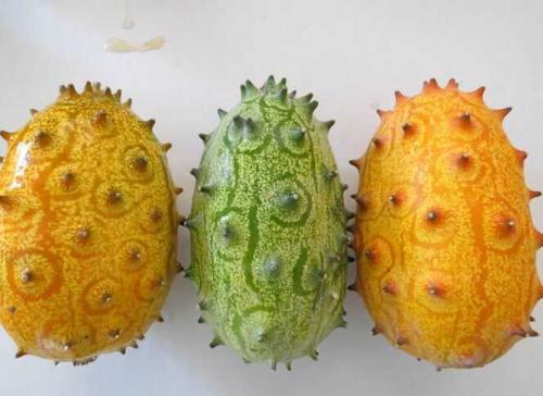 四种水果名字好听口感却差强人意,常见的几种水果名字