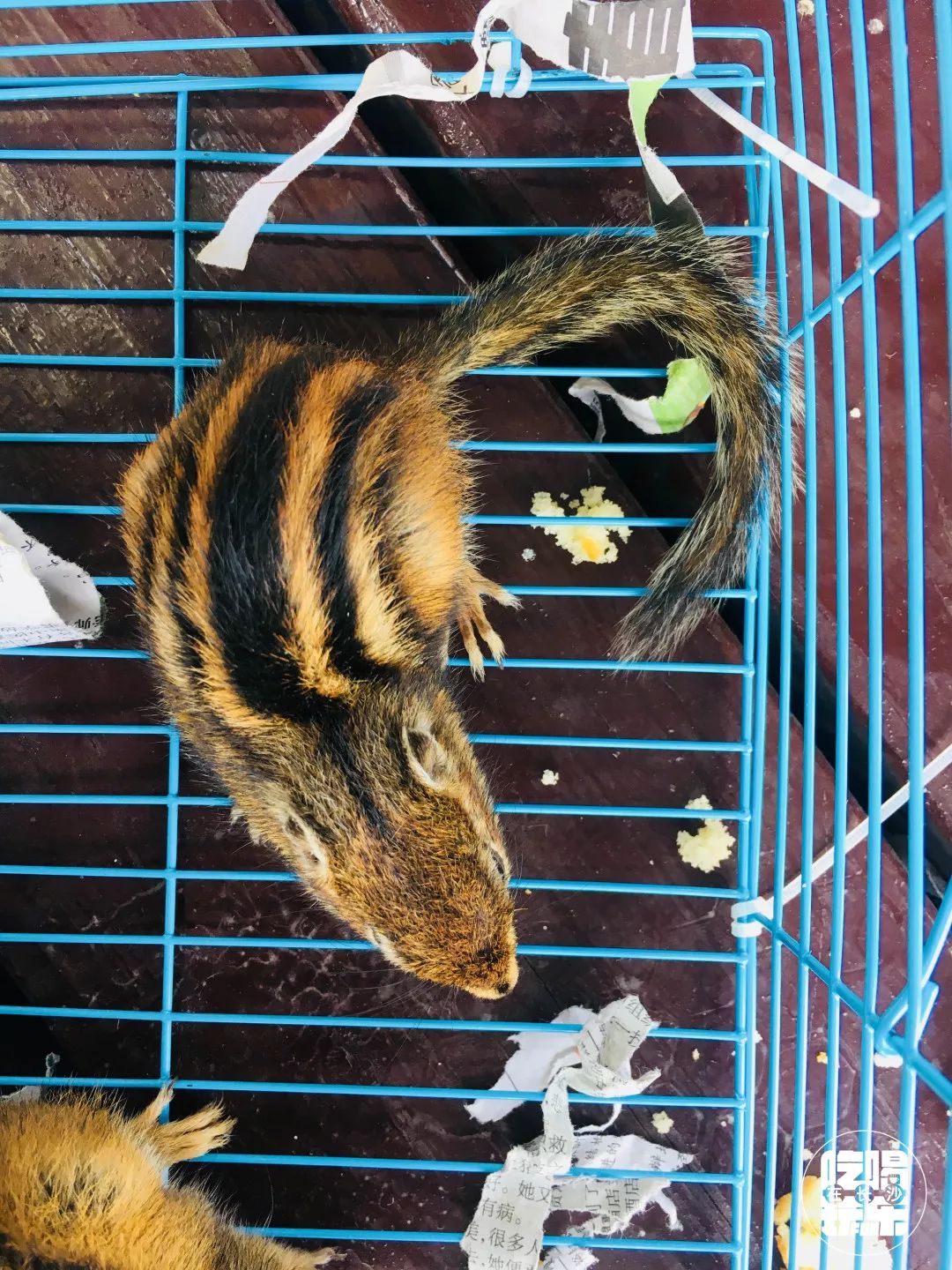 柏乐园附近美食,柏乐园有没有美食