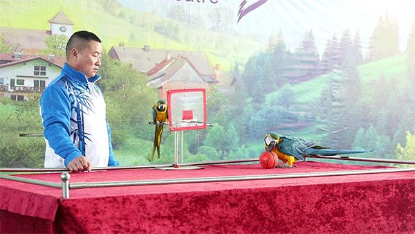 柏乐园附近美食,柏乐园有没有美食