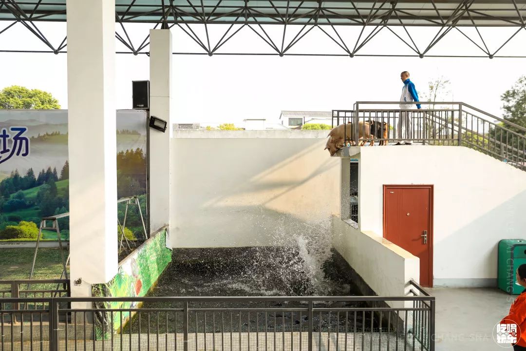 柏乐园附近美食,柏乐园有没有美食